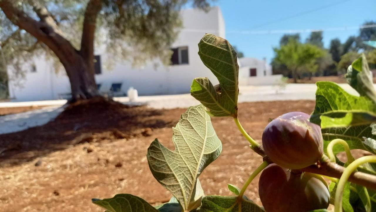 Trullo Il Noce..Holiday Home San Vito dei Normanni Exterior foto